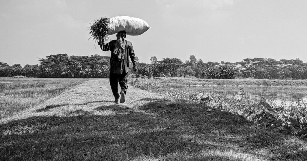ग्रामीण मार्ग पर फसल का बोझ कंधे पर लिए चलता किसान, भारतीय गाँव के जीवन और मेहनत की सादगी को दर्शाता दृश्य।